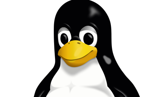 How to Read Linux Permissions